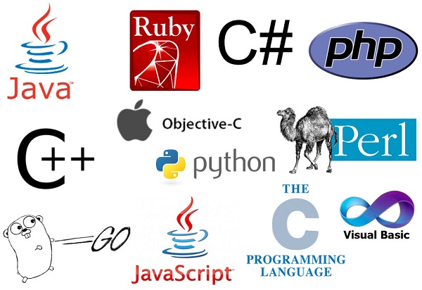 Type of Programming Language