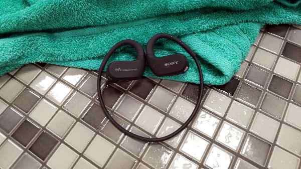 4. Sony NWWS413BM Sports Wearable Mp3 Player