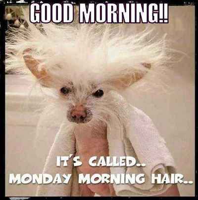 The Monday morning hair