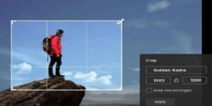 Best Image Cropping Tools Online