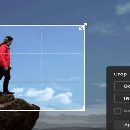 Best Image Cropping Tools Online