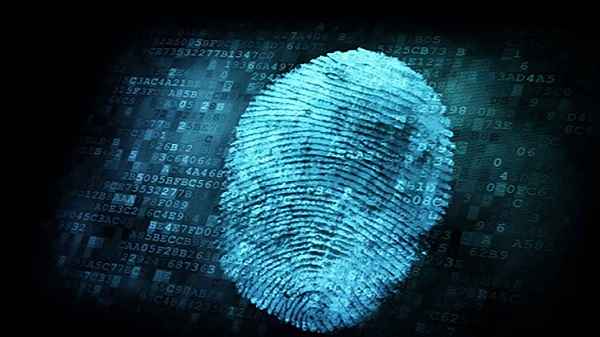 The Evolution of Identity Theft A Historical Perspective