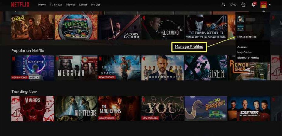 How to Delete a Profile on Netflix Step-by-Step Guide