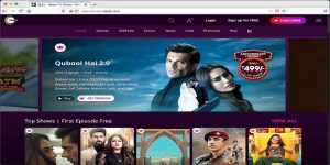 How to Watch ZEE5 in the USA