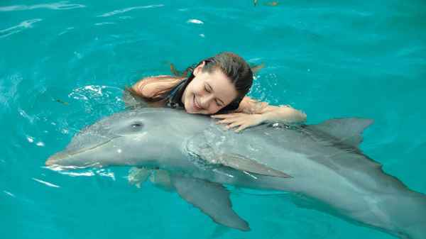What Is The Best Arrangement For Swimming With Dolphins At Natural surroundings Ocho Rios