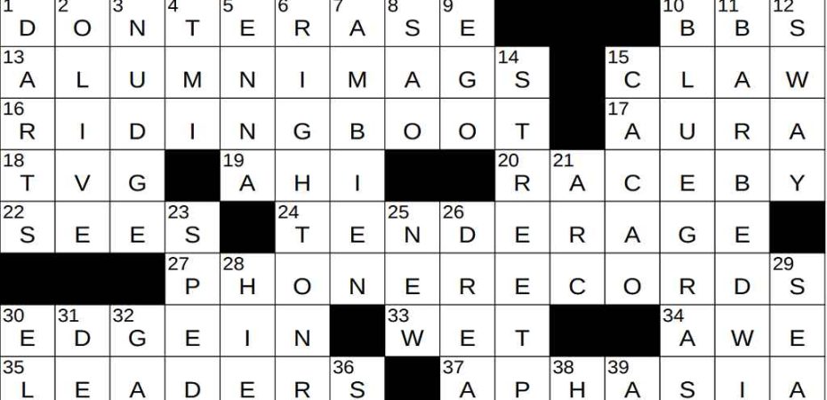 Edge of a Canyon Crossword Clue NYT