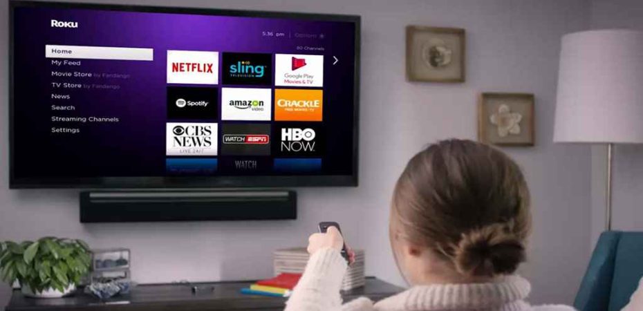 15 of the Best Roku Private Channels in 2023